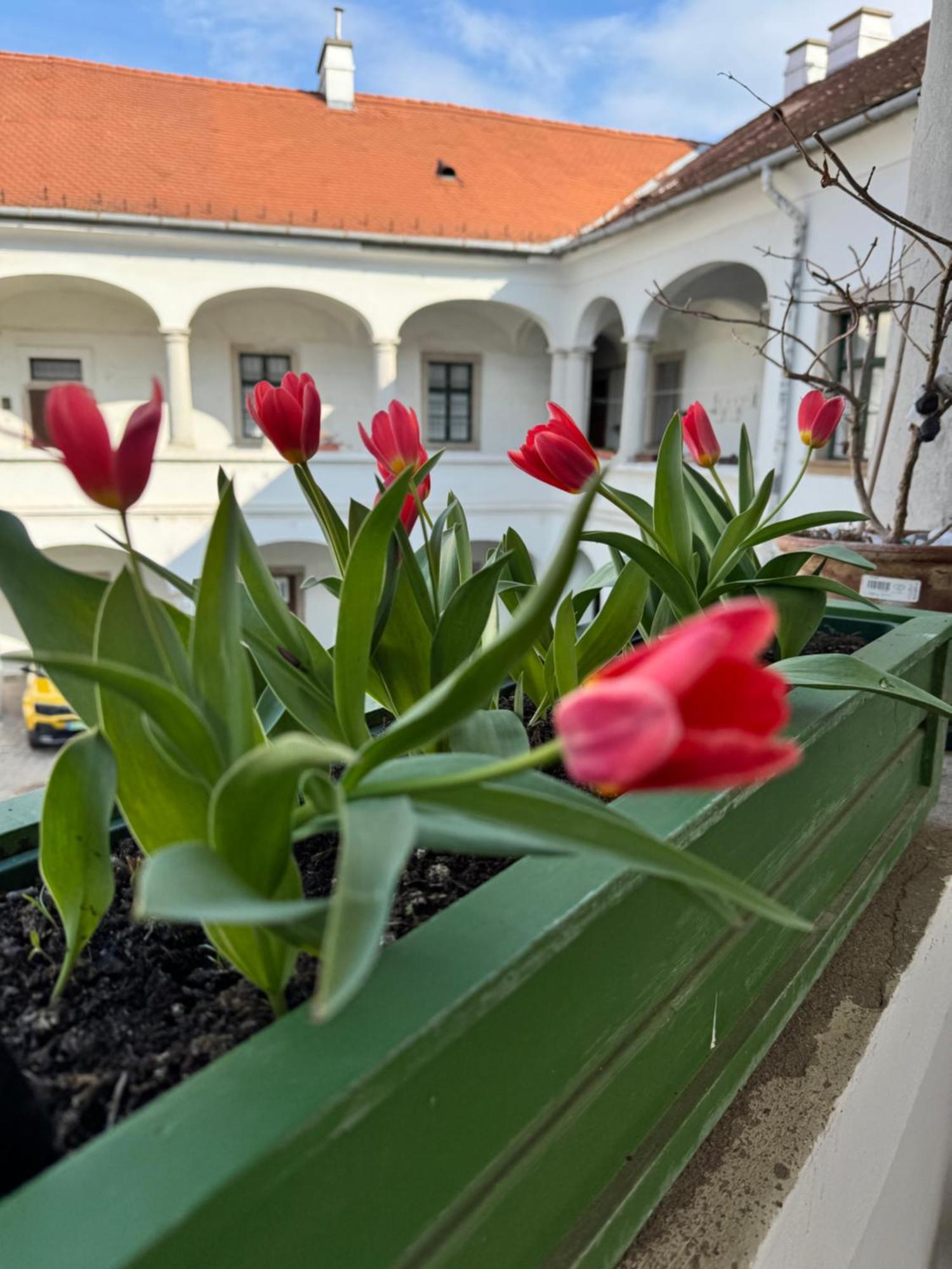 Forst-Haz Apartman Eger Exterior foto